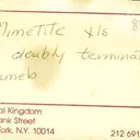 Mimetite (repaired) - image 7