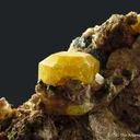 Mimetite (Type Locality, dated 1806 ex. Royal Cabinet) - image 5