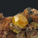 Mimetite (Type Locality, dated 1806 ex. Royal Cabinet) - image 6