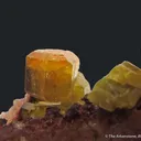 Mimetite (Type Locality, dated 1821) - image 5