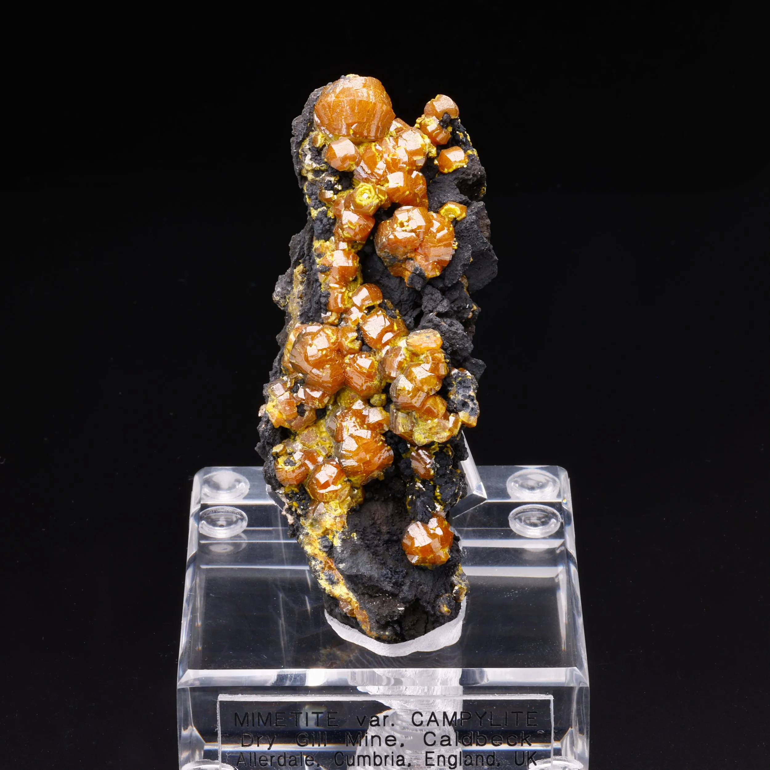 Mimetite var. Campylite - image 1