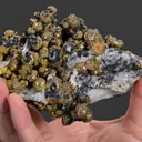 Mimetite Var. CAMPYLITE - image 2