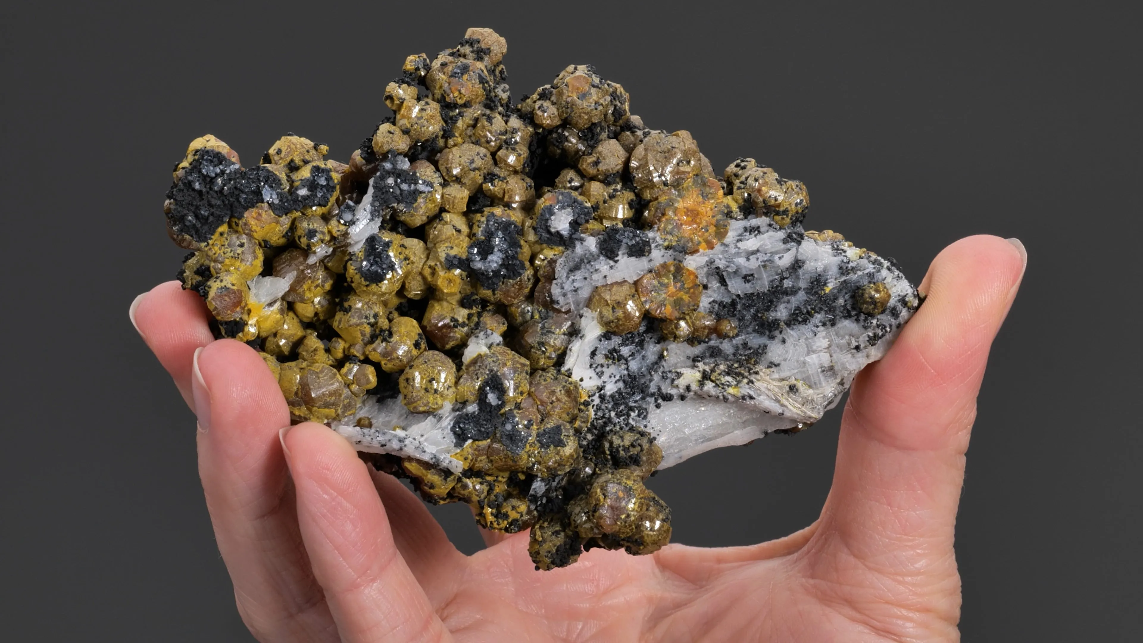 Mimetite Var. CAMPYLITE - image 2
