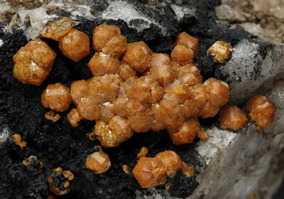 Mimetite Var. CAMPYLITE image