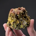 Mimetite var. Campylite - image 2