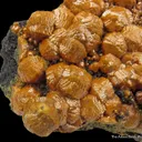 Mimetite var. Campylite - image 3