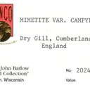 Mimetite var. Campylite - image 7