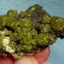 Mimetite (Var: Campylite) - image 2