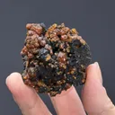 Mimetite Var. CAMPYLITE - image 2