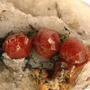 Mimetite Var. Campylite - image 3