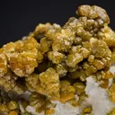 Mimetite var. CAMPYLITE - image 1