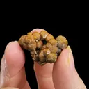 Mimetite Var. CAMPYLITE - image 2