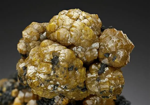 Mimetite Var. CAMPYLITE - image 1