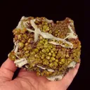 Mimetite var. Campylite, with Baryte - image 1