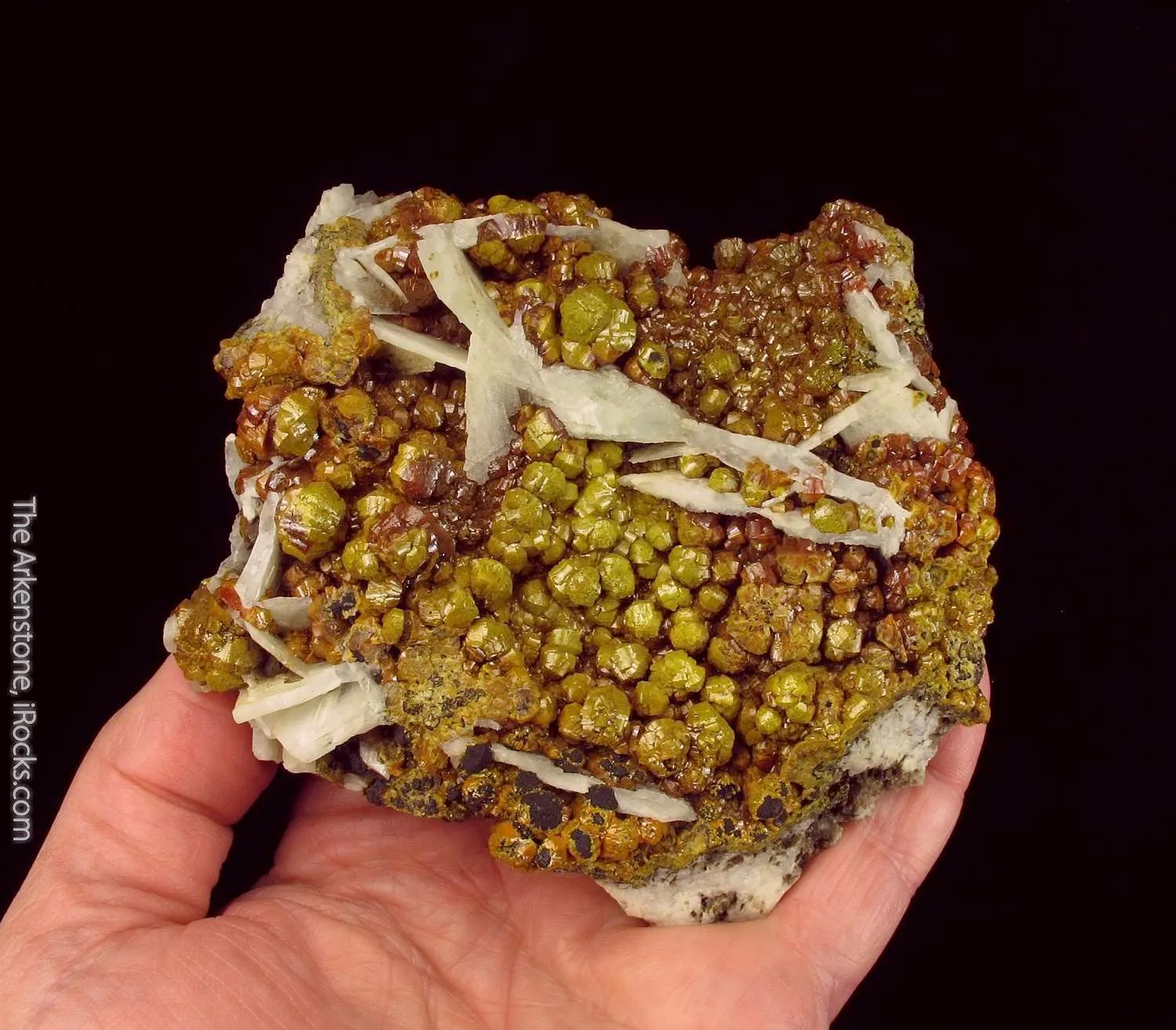 Mimetite var. Campylite, with Baryte - image 1