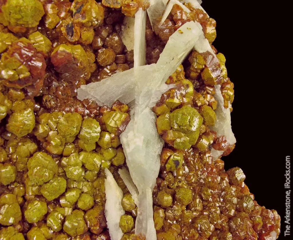 Mimetite var. Campylite, with Baryte - image 6