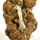 Mimetite Var. Campylite With Baryte - image 1