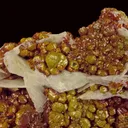 Mimetite var. Campylite, with Baryte - image 5