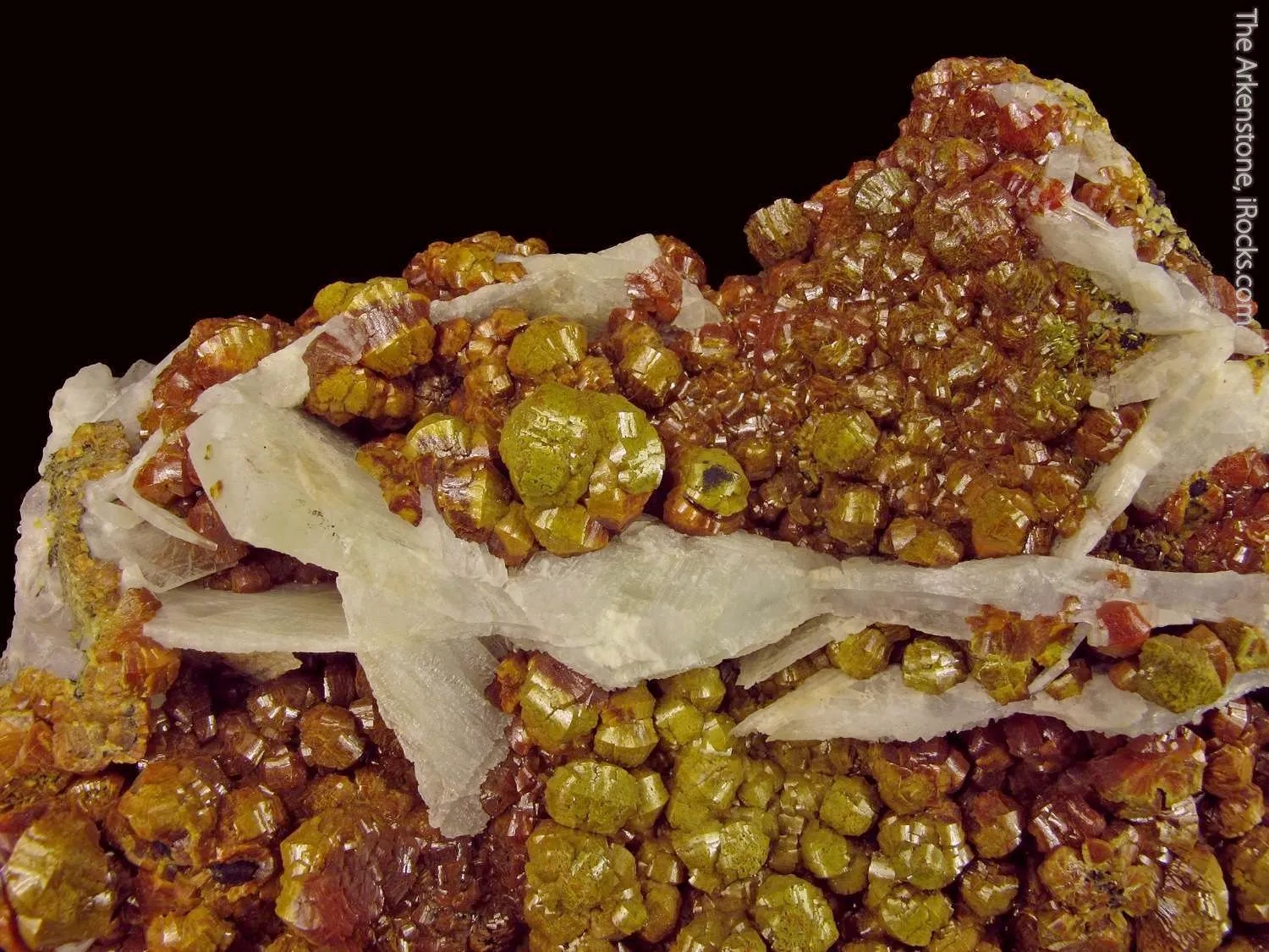 Mimetite var. Campylite, with Baryte - image 5