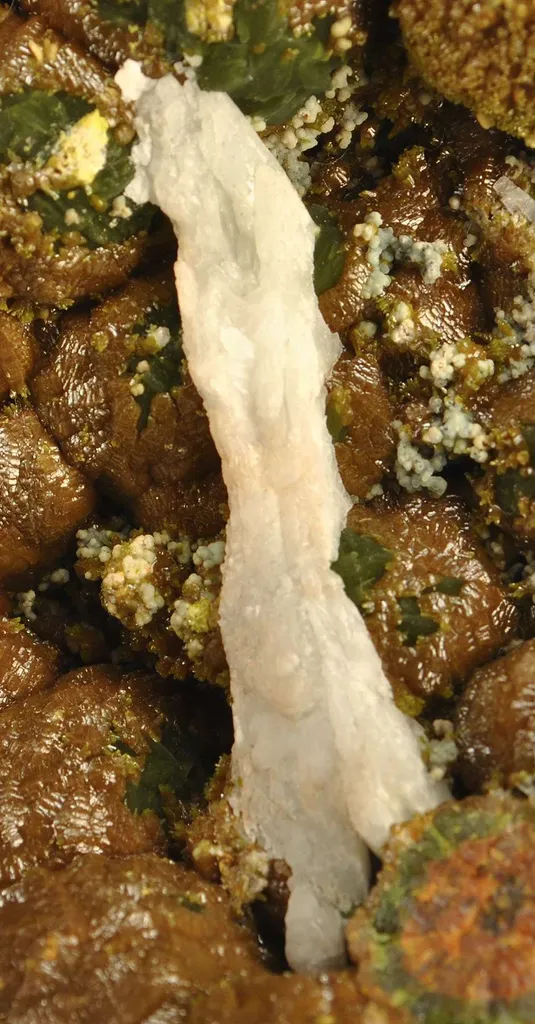 Mimetite Var. Campylite With Baryte - image 2
