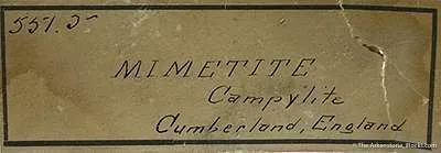 Mimetite Var. Campylite (With Pyromorphite Coating?) - image 4