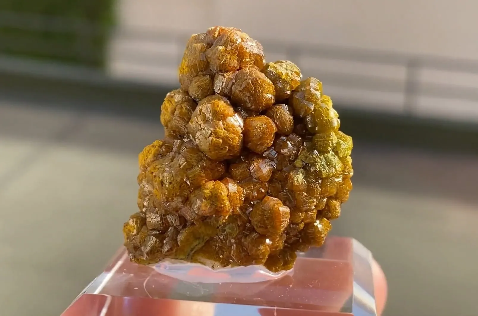 Mimetite variety Campylite - image 5