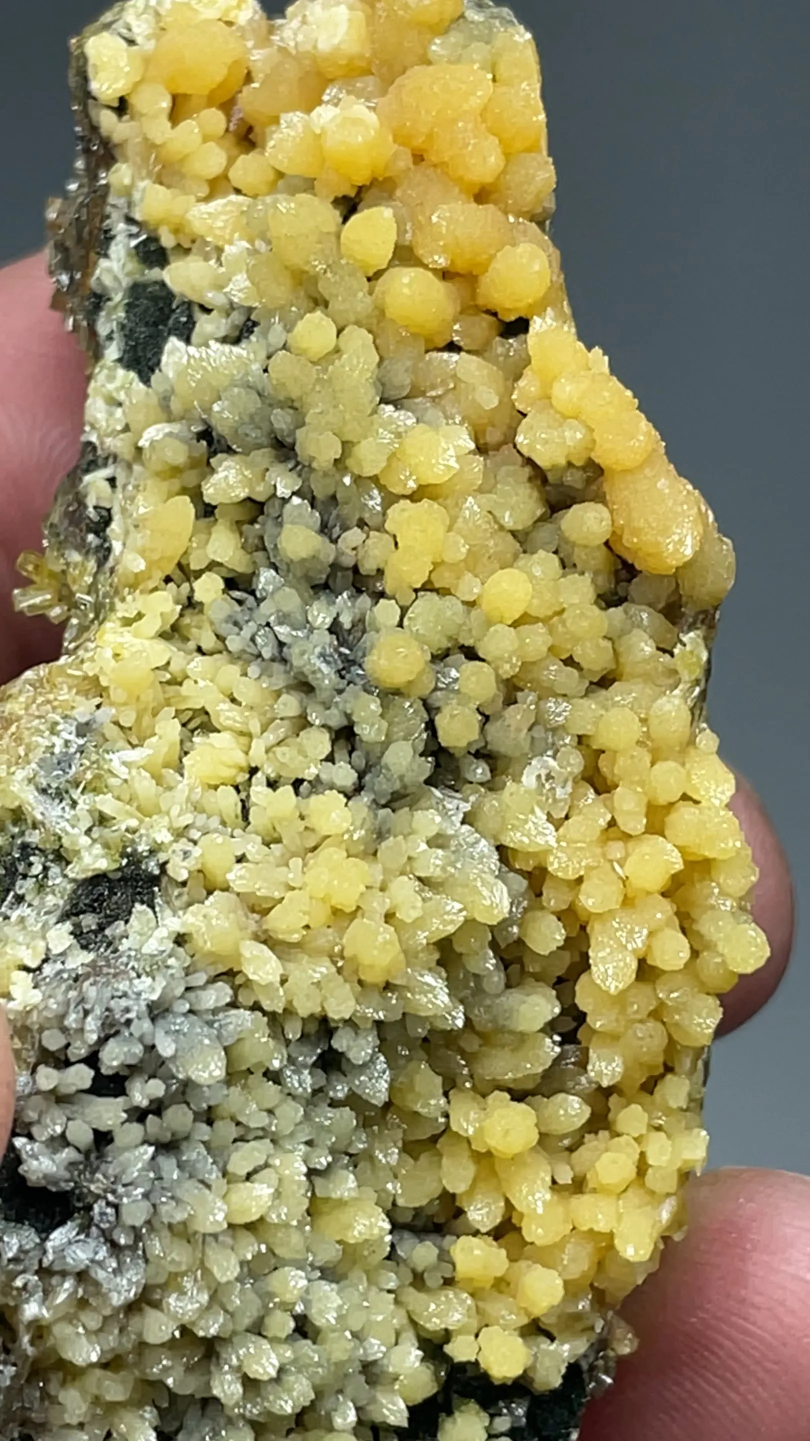 Mimetite with Bayldonite - image 2