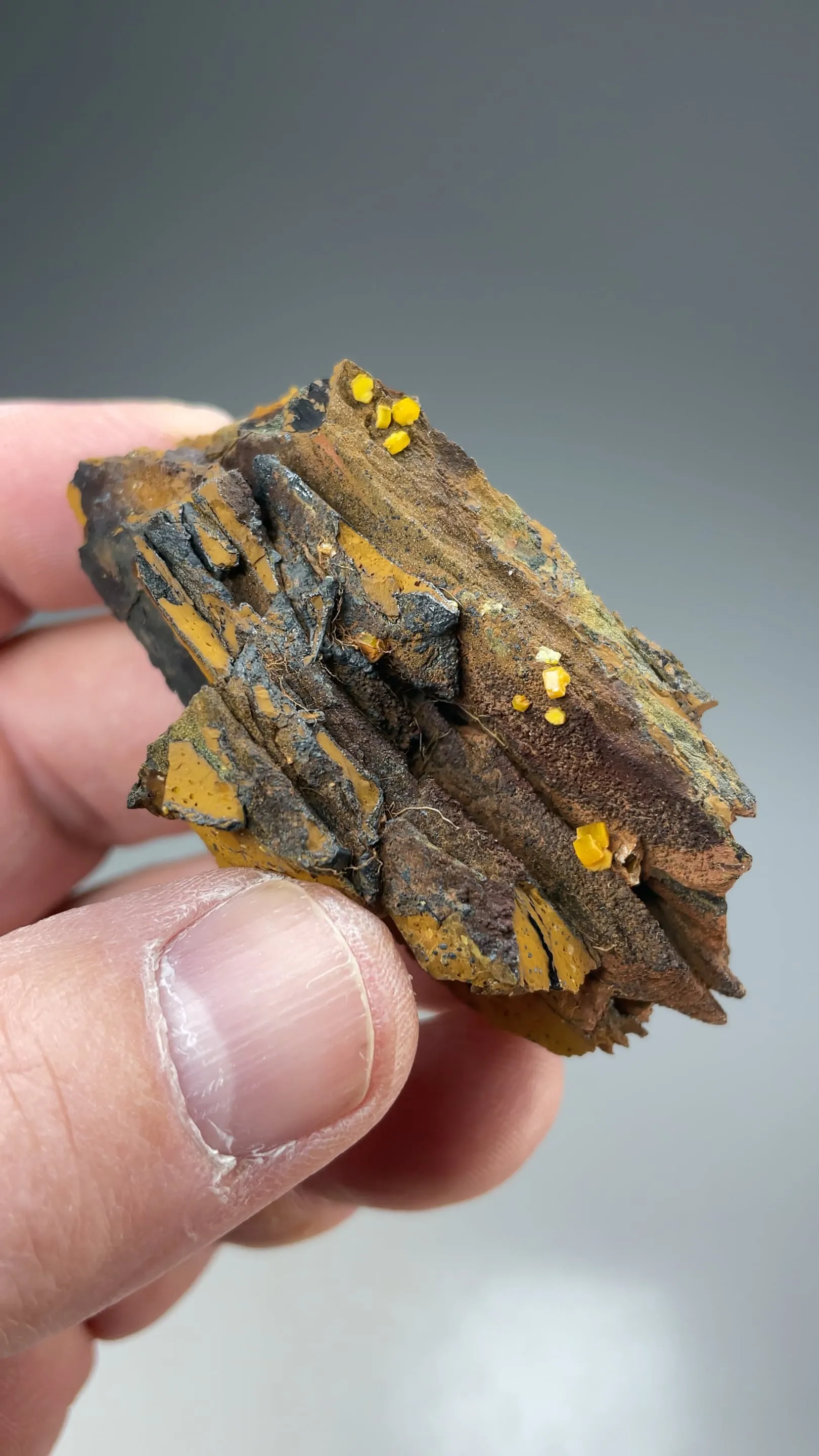 Mimetite with Beudantite - image 2