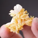 Mimetite with Cerussite - image 2