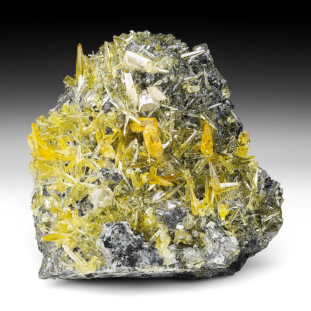 Mimetite with Cerussite, Wulfenite, Pyrite image