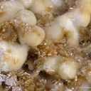 Mimetite with Smithsonite - image 1