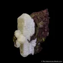 Mimetite with Tsumcorite (Type Locality) - image 2
