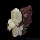 Mimetite with Tsumcorite (Type Locality) - image 1