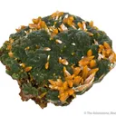 Mimetite with Wulfenite - image 2