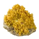 Mimetite With Wulfenite - image 3