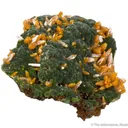 Mimetite with Wulfenite - image 4