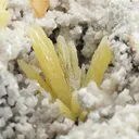 Mimetite with Wulfenite on Dolomite - image 1