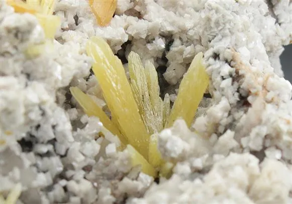 Mimetite with Wulfenite on Dolomite - image 1