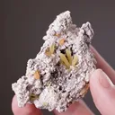 Mimetite with Wulfenite on Dolomite - image 2