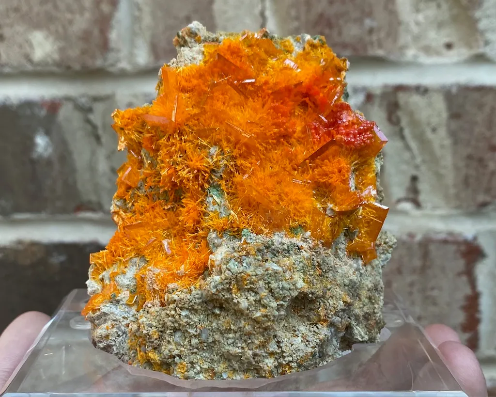 Mimetite, Wulfenite image