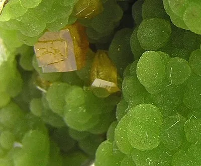 Mimetite, Wulfenite - image 2