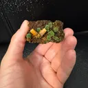 Mimetite, Wulfenite, Mexico, Durango, Mapimí Municipality, Mapimí, Ojuela Mine - image 2