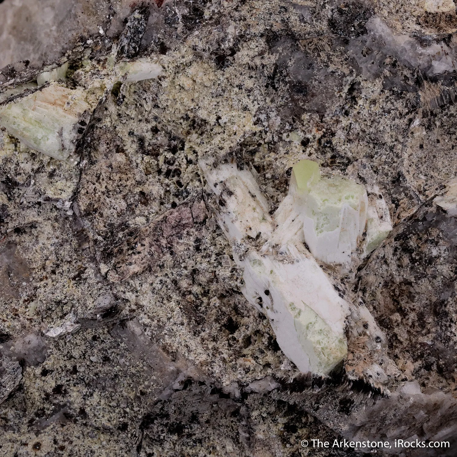 Minasgeraisite-(Y) (type locality) with Chernovite-(Y) & Milarite - image 1