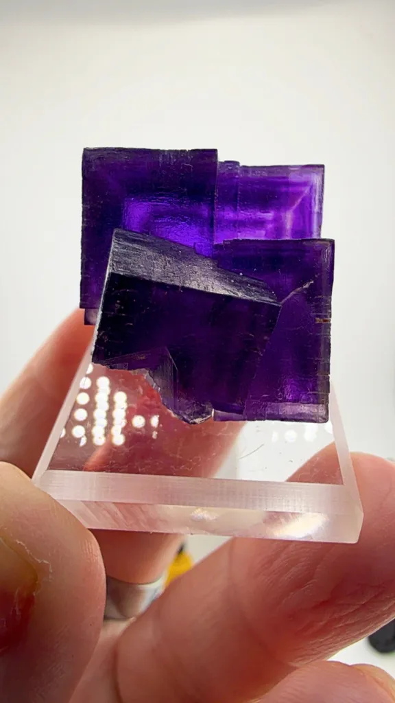 Miniature Fluorite from Hastie's Quarry image