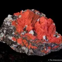 Minium - image 2