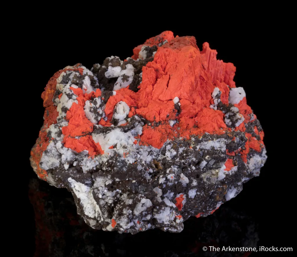 Minium - image 3