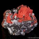 Minium - image 3