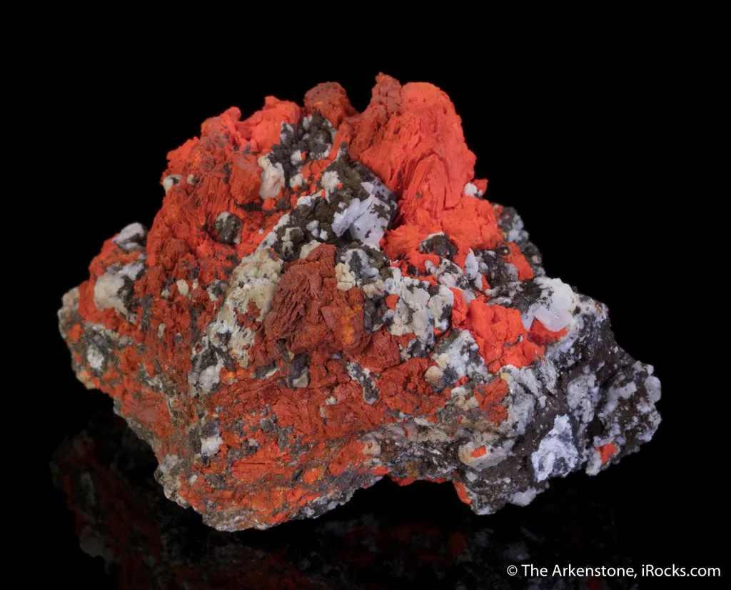 Minium - image 4