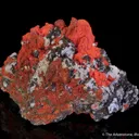 Minium - image 4