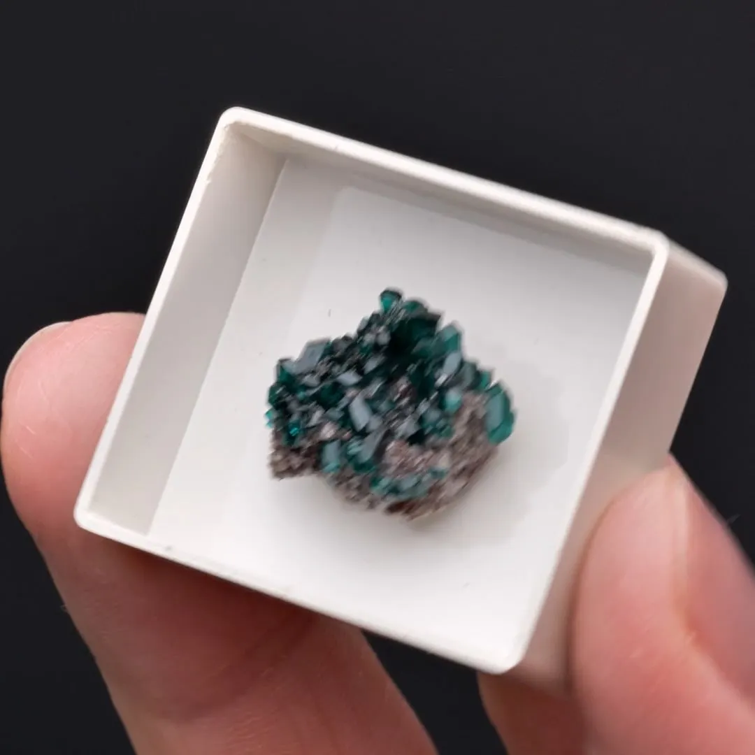 MINRECORDITE with Dioptase and Calcite - image 2